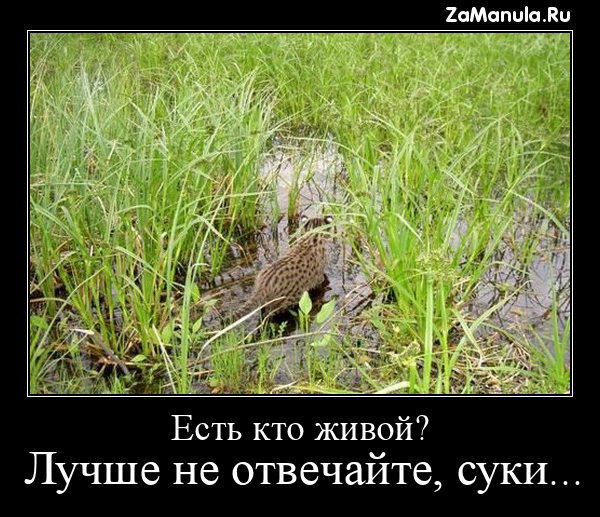 Есть кто живой? Есть кто живой?