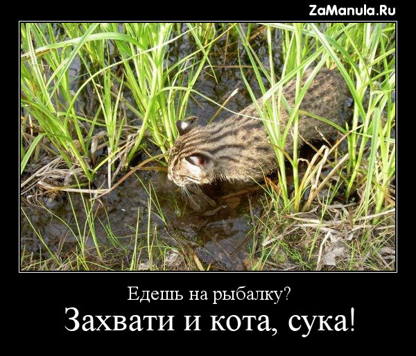 Едешь на рыбалку? Едешь на рыбалку?
