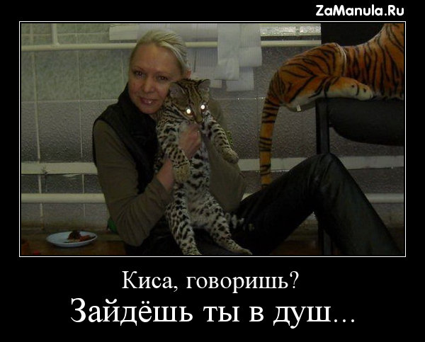 Киса, говоришь? Киса, говоришь?