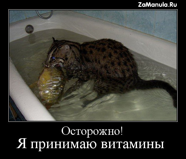 Осторожно! Я принимаю витамины Осторожно! Я принимаю витамины