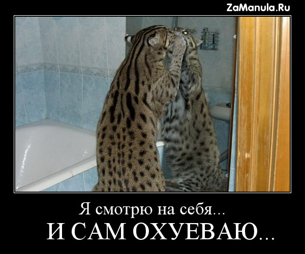 Я смотрю на себя... Я смотрю на себя...