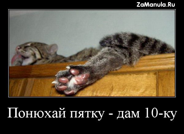 Понюхай пятку - дам 10-ку Понюхай пятку - дам 10-ку
