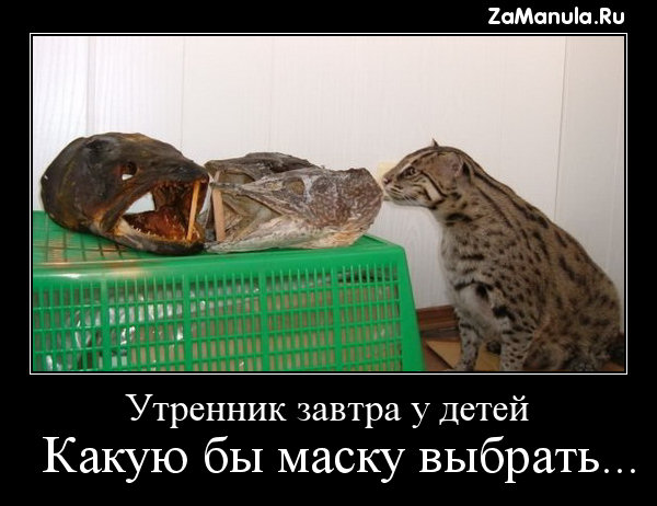 Какую бы маску выбрать... Какую бы маску выбрать...