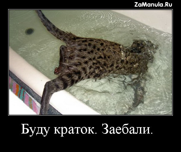 Буду краток. Зае*али. Буду краток. Зае*али.