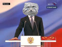 Манул-президент