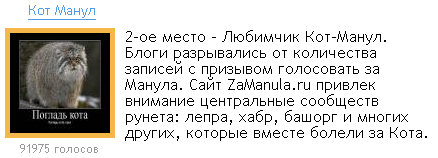 Манул на премии "Герой Рунета"