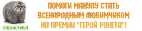 Манул - Герой Рунета