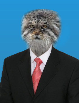 Манул президент