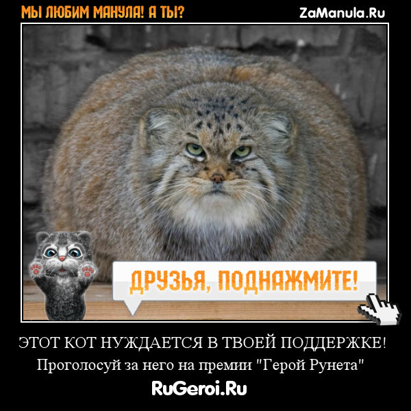МЫ ЛЮБИМ МАНУЛА! А ТЫ?