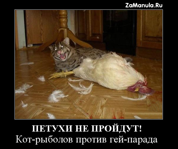 Петухи не пройдут! Петухи не пройдут!