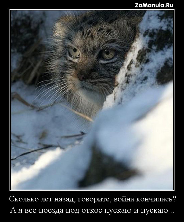 Поезда под откос Поезда под откос