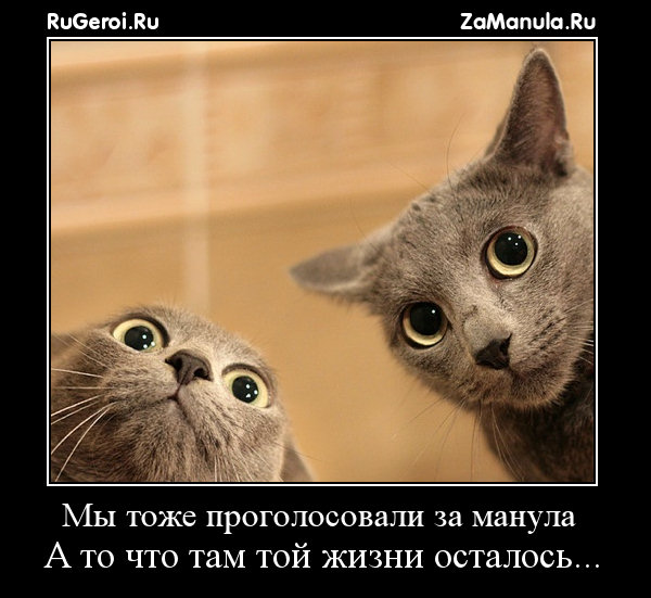 Что там той жизни осталось... Что там той жизни осталось...