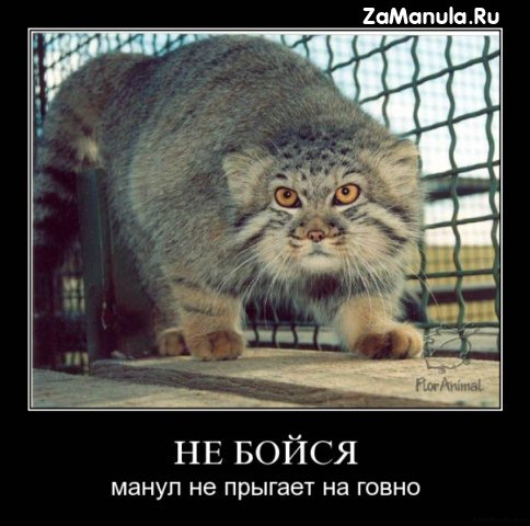 Не бойся Не бойся