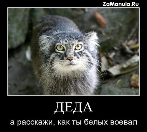 Деда, а расскажи, как ты белых воевал Деда, а расскажи, как ты белых воевал