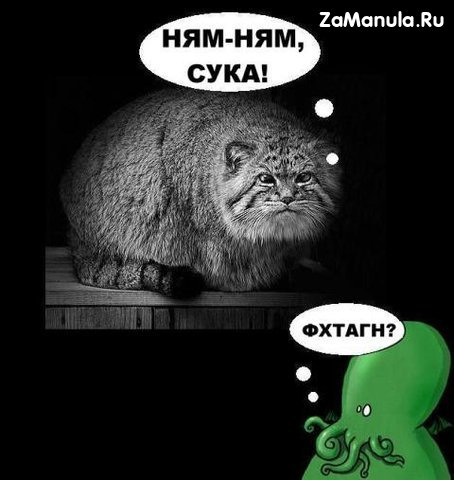 ФХТАГН? ФХТАГН?