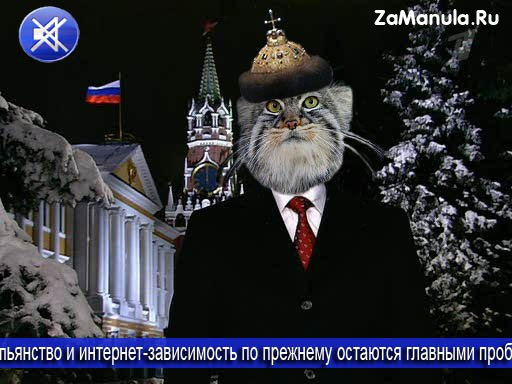 Обращение манула Обращение манула
