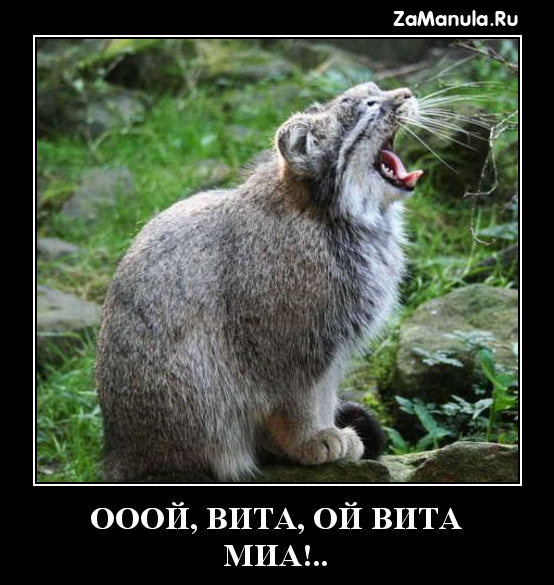 Ооой, Вита Ооой, Вита