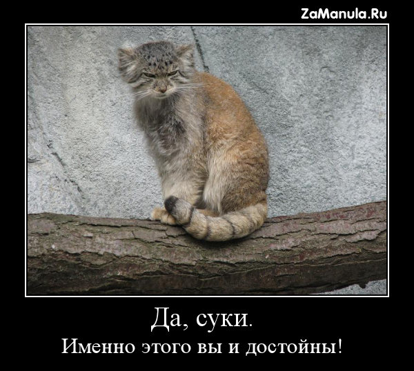 Именно этого вы и достойны! Именно этого вы и достойны!