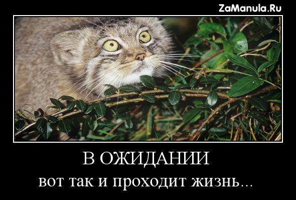 В ожидании В ожидании