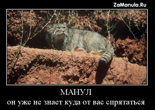 Он уже не знает куда от вас спрятаться Он уже не знает куда от вас спрятаться