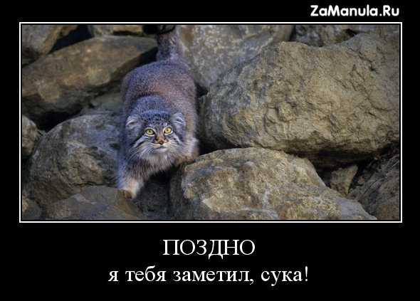 Поздно Поздно