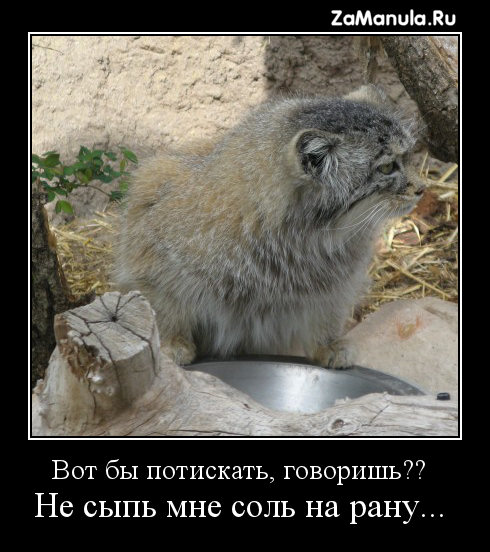 Не сыпь мне соль на рану... Не сыпь мне соль на рану...