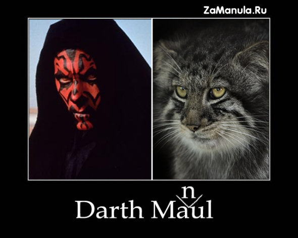 Darth Manul Darth Manul