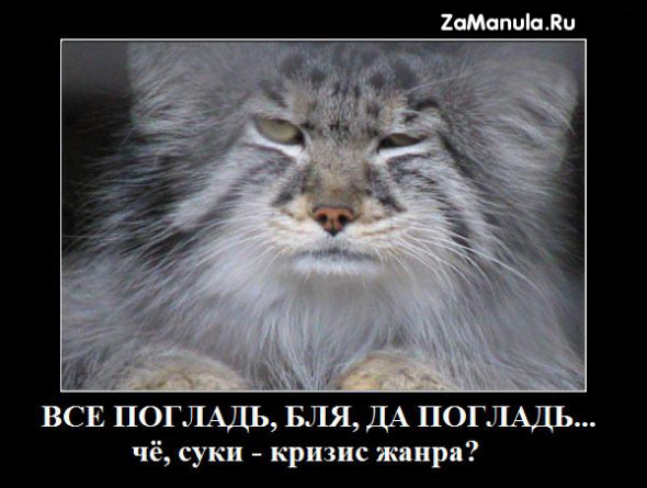 Кризис жанра Кризис жанра