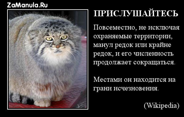 Прислушайтесь Прислушайтесь