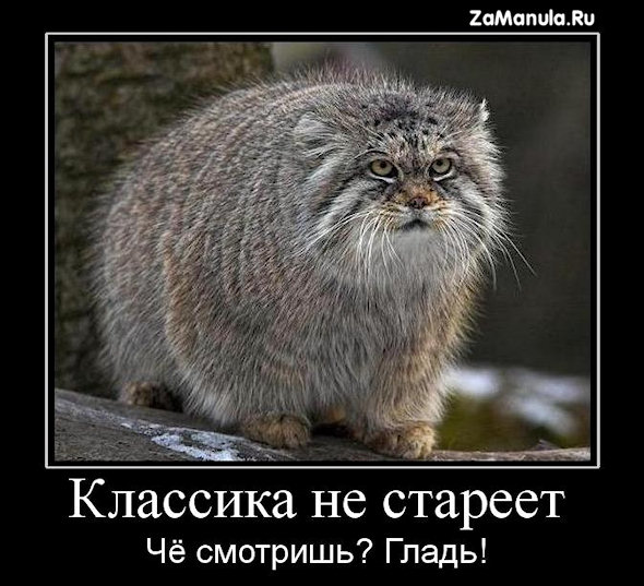 Классика не стареет