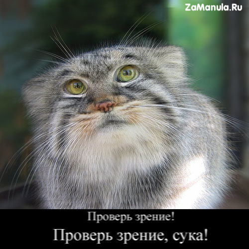 Проверь зрение Проверь зрение
