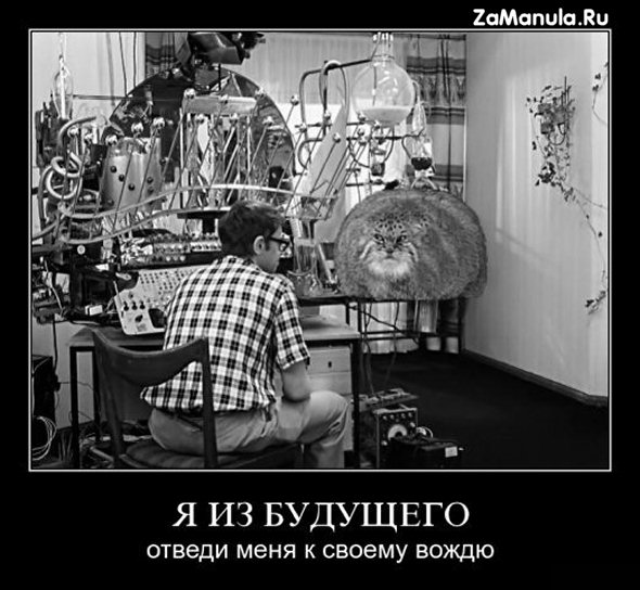 Я из будущего Я из будущего