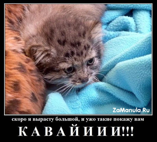 Кавайно Кавайно