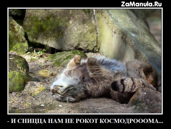 И снится нам не рокот космодрома И снится нам не рокот космодрома