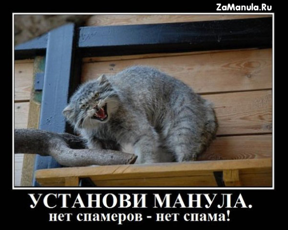 Установи манула Установи манула