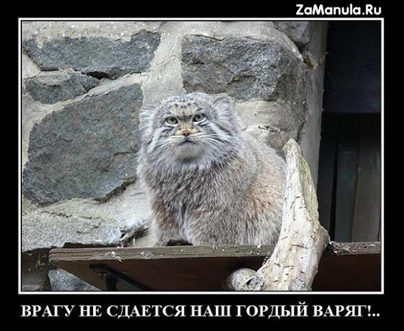 Врагу не сдается наш гордый варяг!.. Врагу не сдается наш гордый варяг!..
