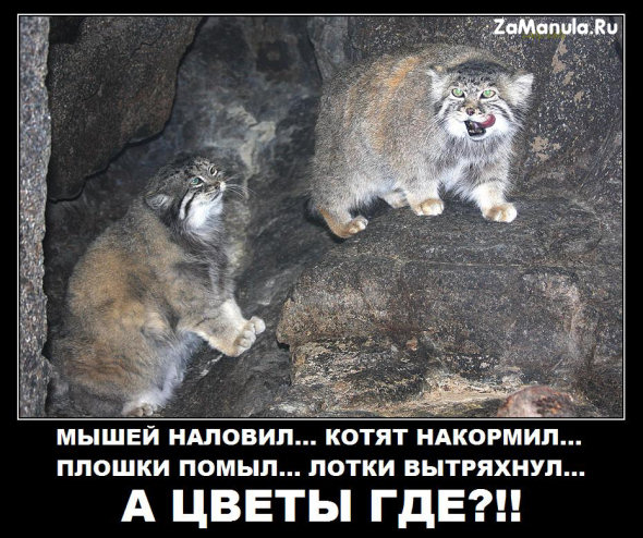 А цветы где? А цветы где?