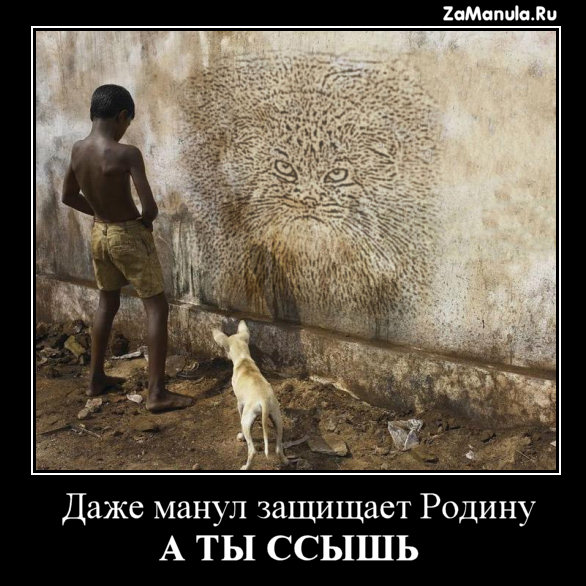 Манул защищает Родину Манул защищает Родину