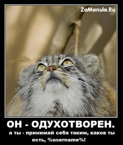 Он - одухотворен Он - одухотворен
