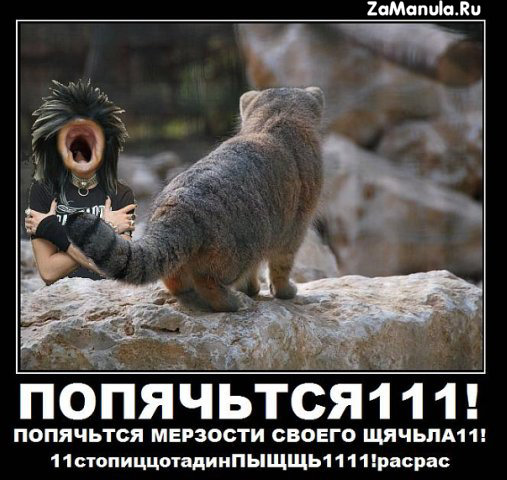Попячьтся111! Попячьтся111!