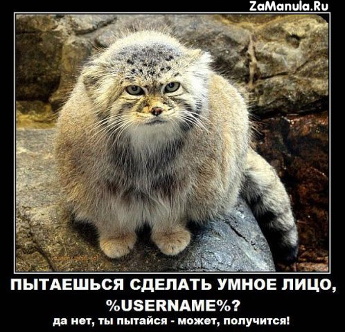 Пытайся - может, получится... Пытайся - может, получится...
