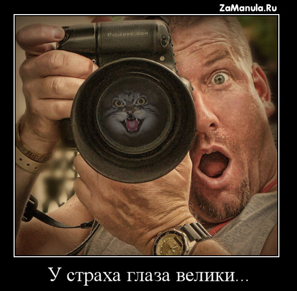 У страха глаза велики... У страха глаза велики...