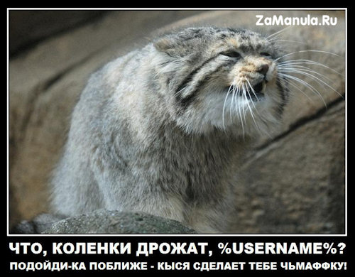 Что, коленки дрожжат? Что, коленки дрожжат?