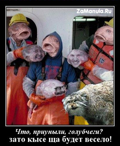 Что, приуныли, голубчеги? Что, приуныли, голубчеги?